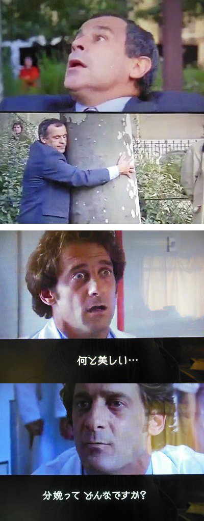 切断 切断