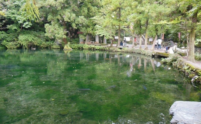 出流原湧水池