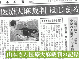 山本医療大麻裁判 山本医療大麻裁判
