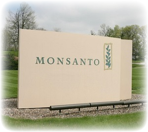 画像の説明 画像の説明