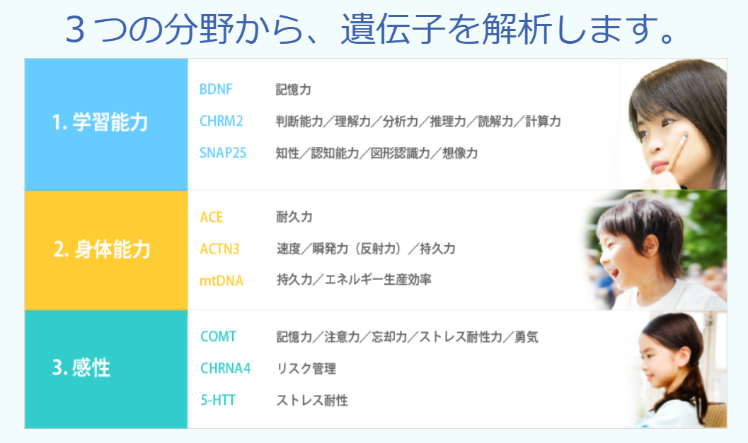 子ども能力遺伝子検査