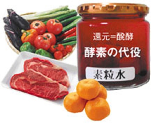 酵素の代役