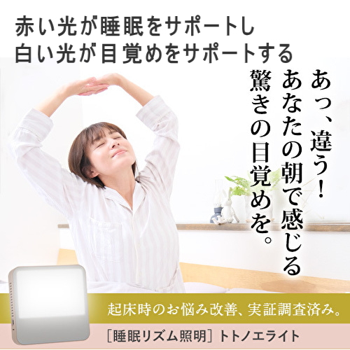 トトノエライト トトノエライト