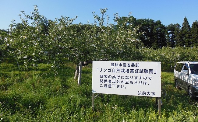 奇跡のリンゴ畑
